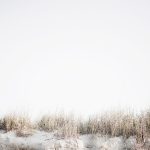 sand